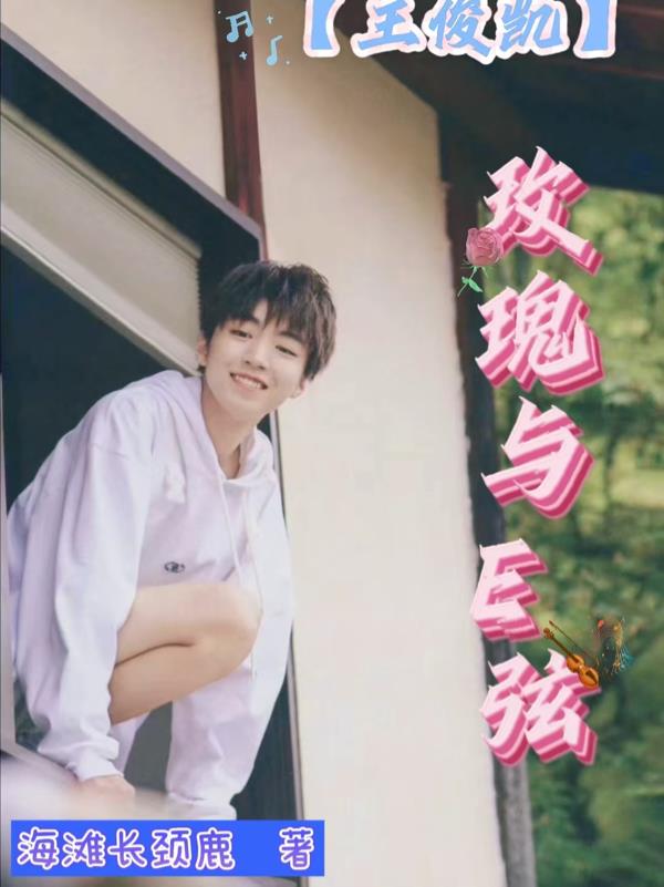 小玫瑰和王俊凯是哪个综艺