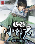 大宋小郎中小说