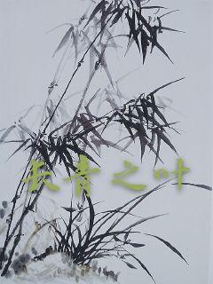 《逐道长青》最新章节