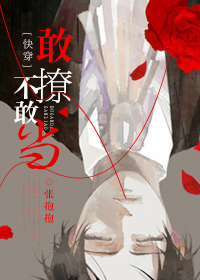 敢撩不敢当[快穿]百度云